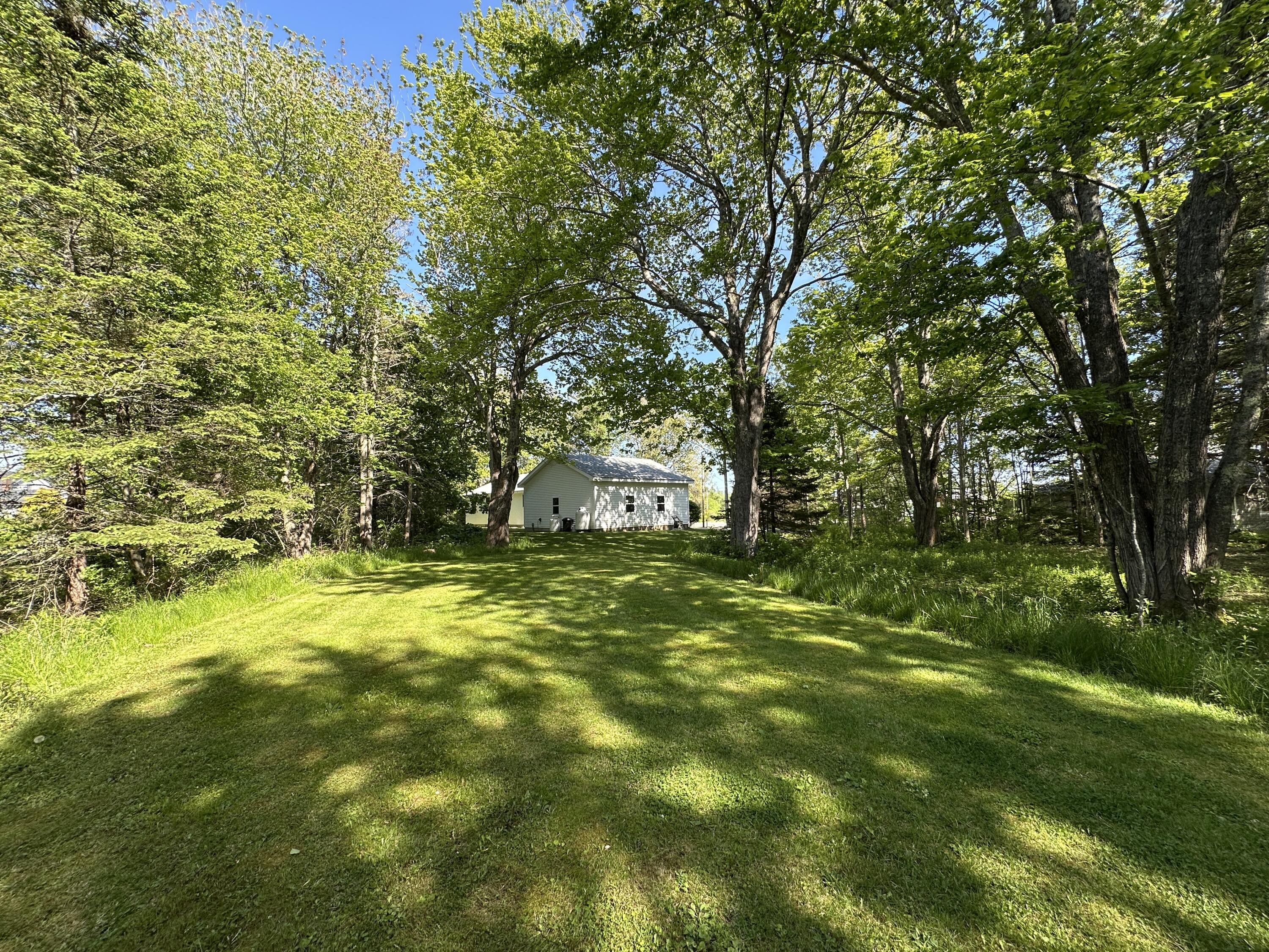 627 Port Clyde Road St. George, ME 04860 - Photo 8 of 58 Yard & Wooded Area