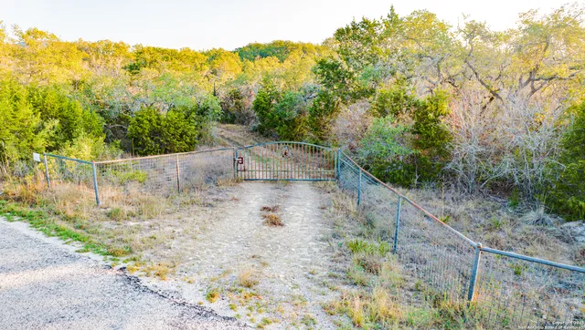 a view of a yard with large trees