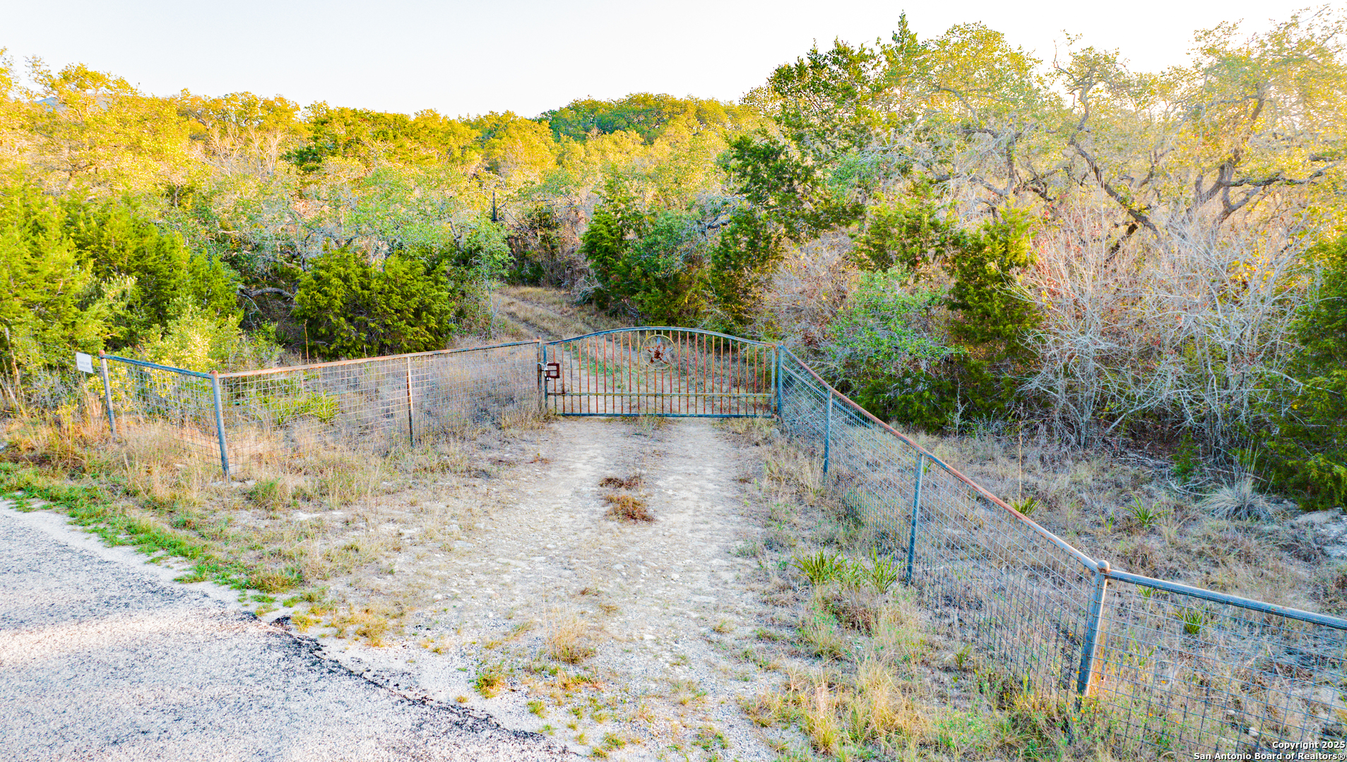 184 Peyton Colony Road Blanco, TX 78606 - Photo 29 of 33 a view of a yard with large trees