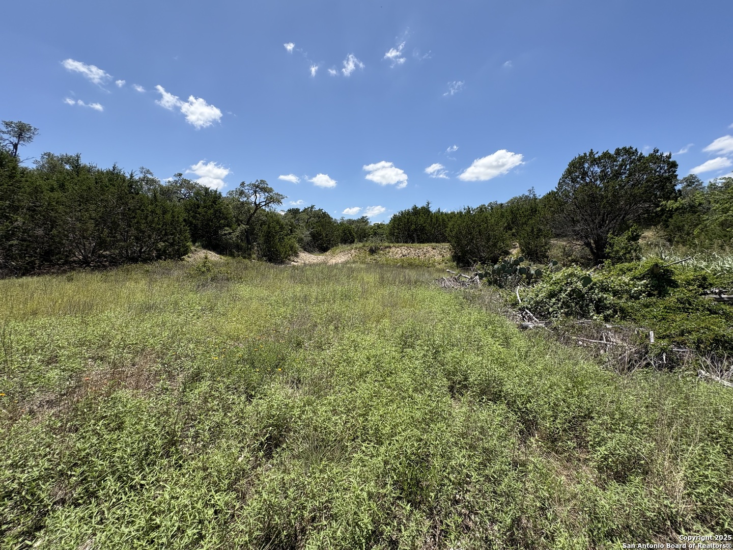184 Peyton Colony Road Blanco, TX 78606 - Photo 8 of 33 a view of an outdoor space and a yard