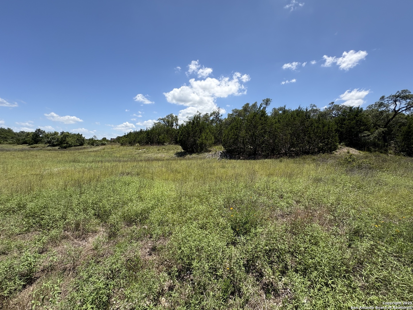 184 Peyton Colony Road Blanco, TX 78606 - Photo 9 of 33 a view of a city