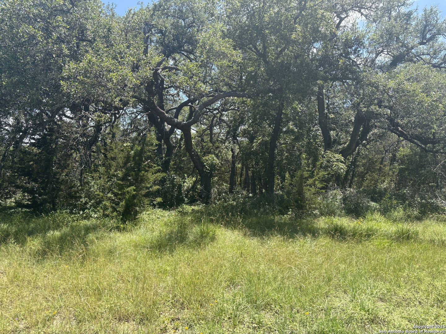 184 Peyton Colony Road Blanco, TX 78606 - Photo 10 of 33 a view of outdoor space and a yard