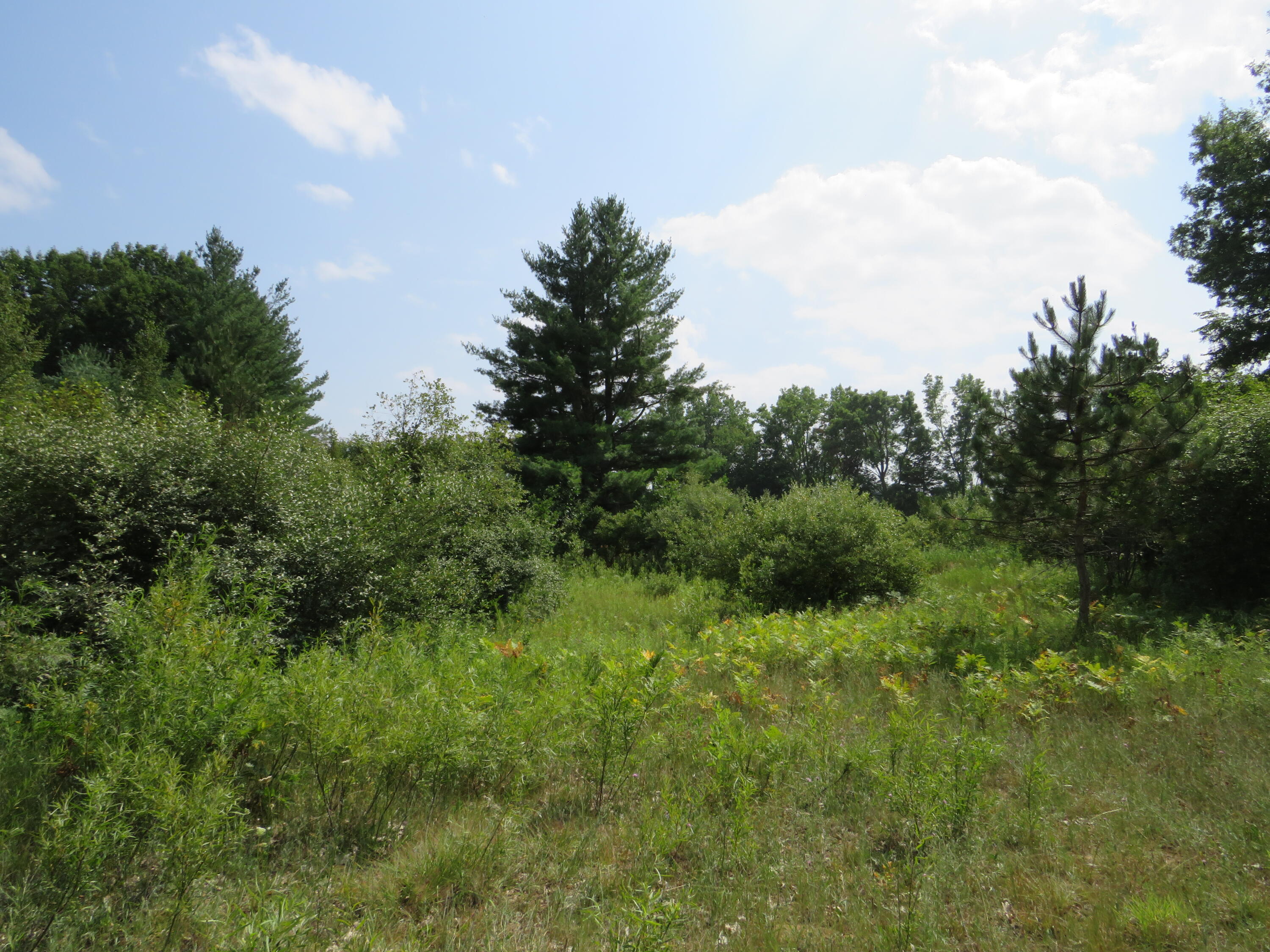 Northeast County Line Road Coleman, MI 48618 - Photo 11 of 54 IMG_7101