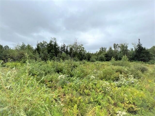 1211 Lyford Road Milo, ME 04463 - Photo 11 of 12 IMG_2688