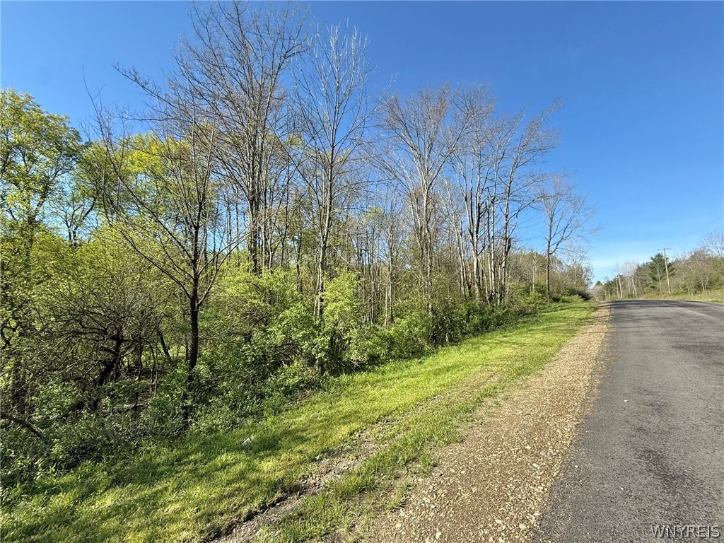 3137 Bear Creek Road Machias, NY 14737 - Photo 15 of 50