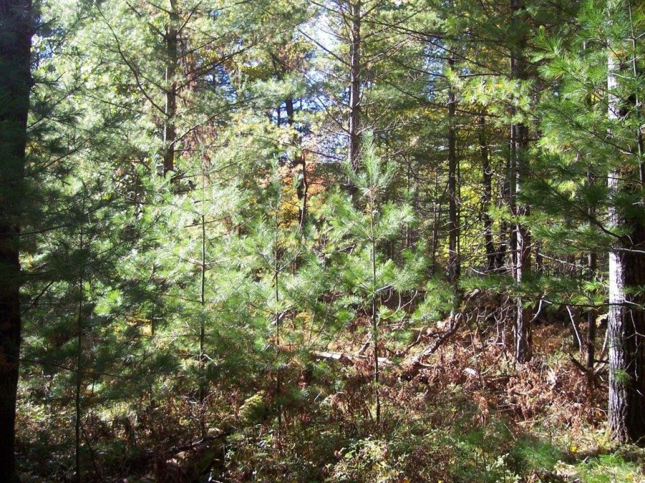 On Ridgewood Drive, Unit 288 Minocqua, WI 54548 - Photo 1 of 6 Gallery Image 1