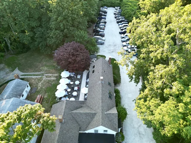 a view of a garden with plants