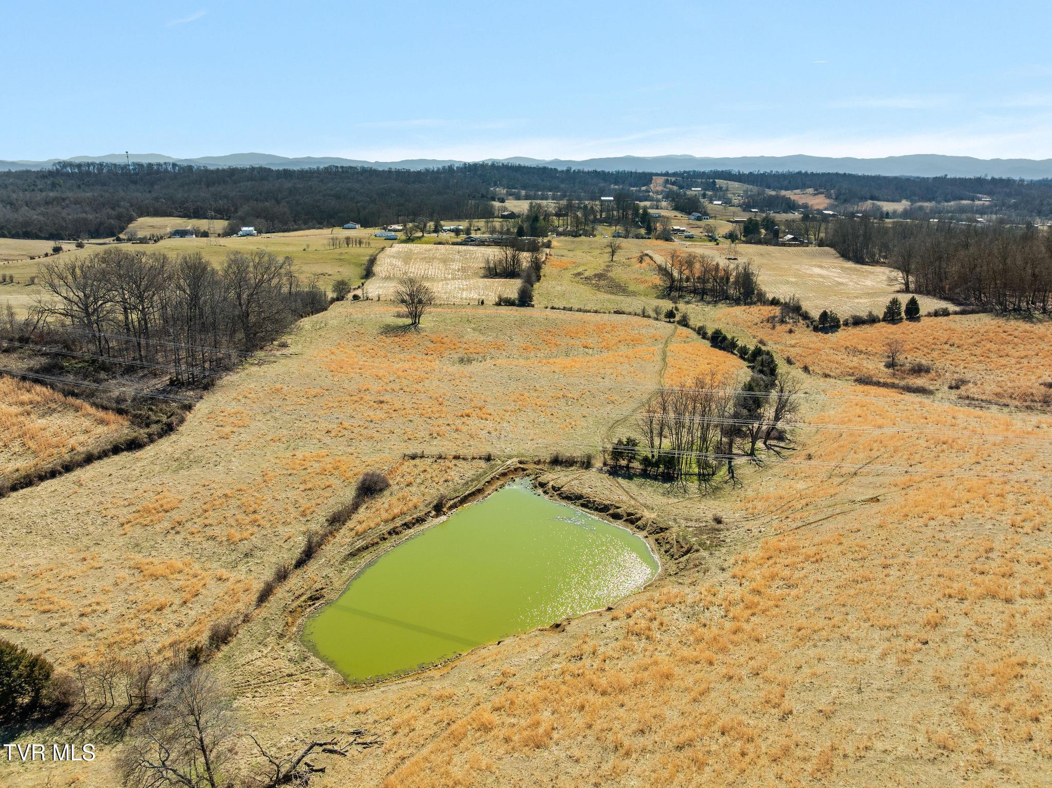 Lot 3 Tbd Tennessee 93 Fall Branch Fall Branch, TN 37656 - Photo 2 of 12 Private pond on property