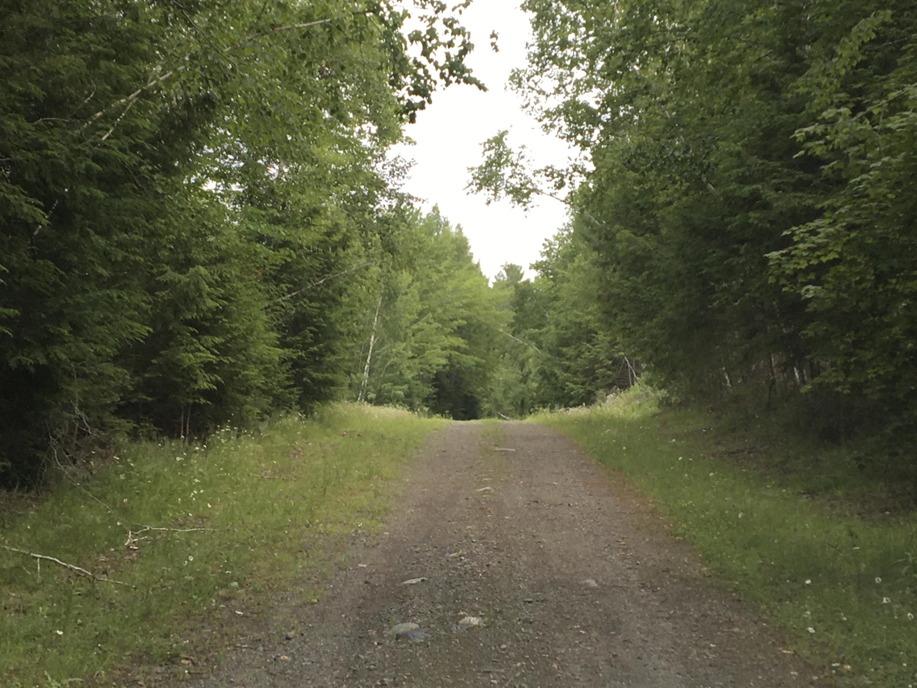 Lot 1 Town Road Lagrange, ME 04453 - Photo 3 of 16 IMG_4122