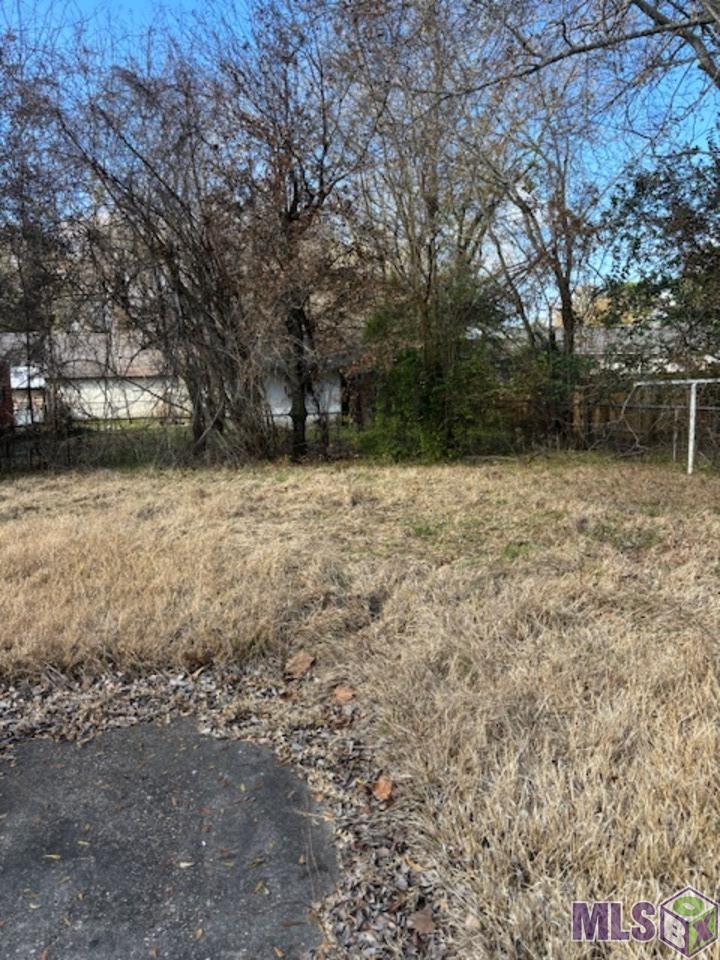 3833 Sycamore Street Baton Rouge, LA 70805 - Photo 12 of 12