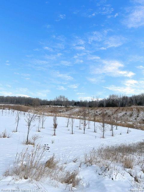 5770 Denhoff Road Kingston, MI 48741 - Photo 24 of 26 Gallery Image 24