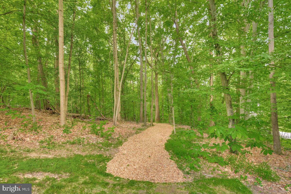 3170 Hickory Ridge Road Dunkirk, MD 20754 - Photo 55 of 74 a view of backyard with green space