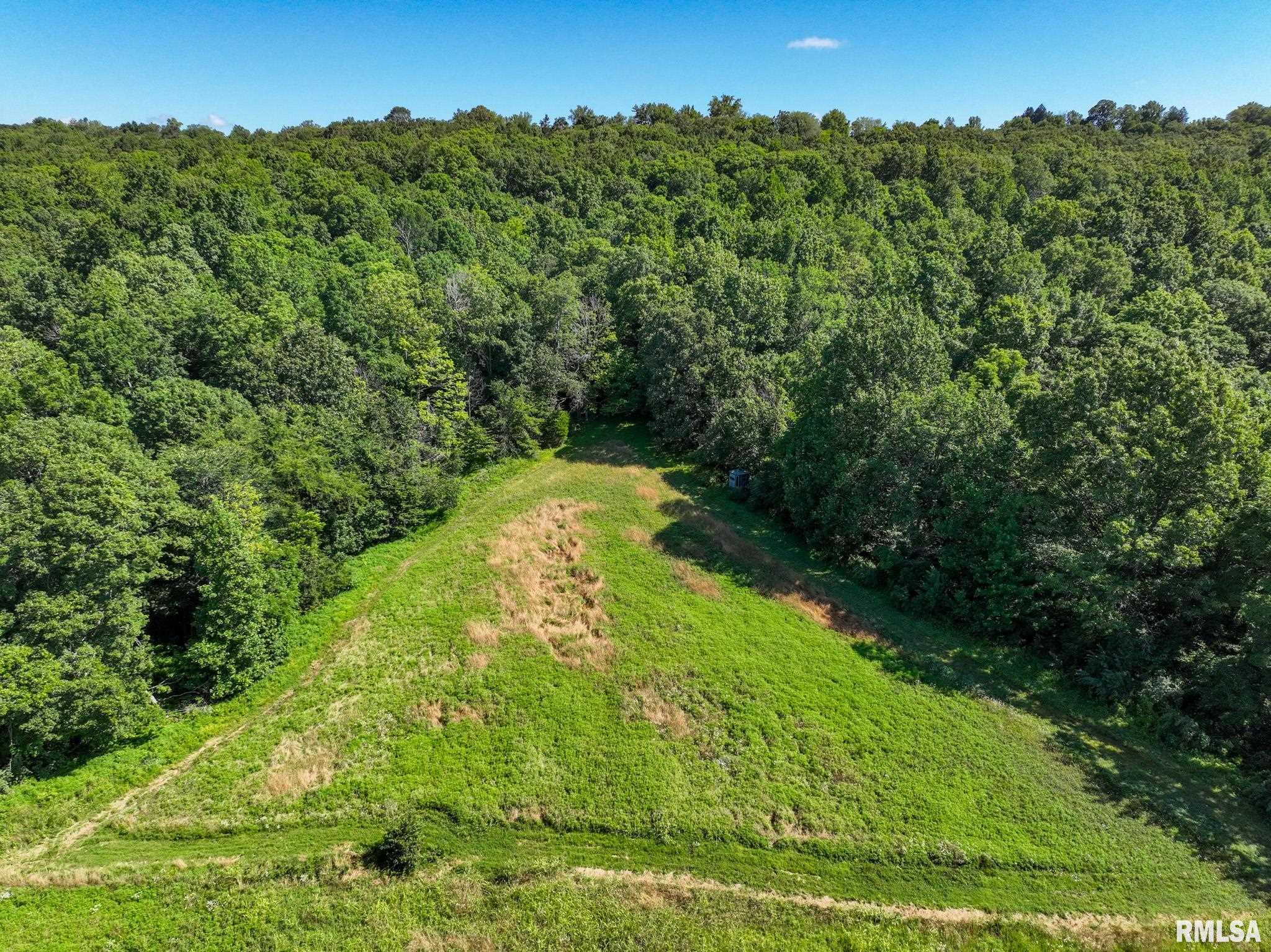 1770 Aldridge Road Cobden, IL 62920 - Photo 57 of 71