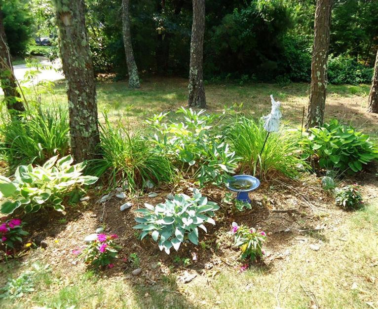 261 Simon Narrows Road Mashpee, MA 02649 - Photo 16 of 17 a backyard of a house with lots of green space and chair