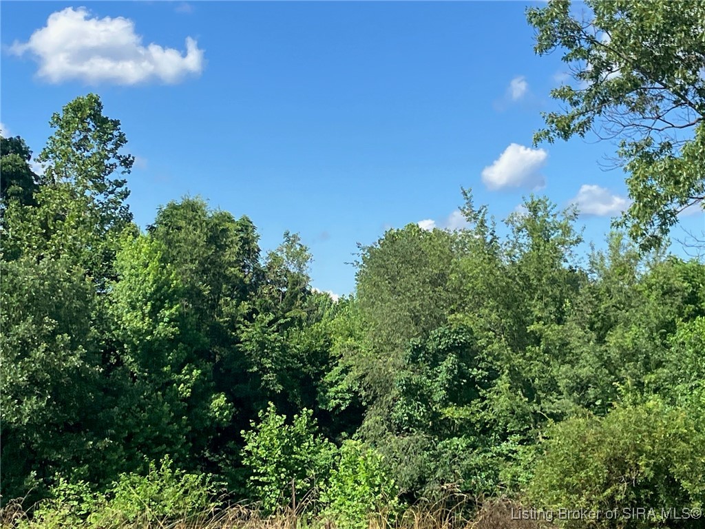 5200 Scottsville Road Floyds Knobs, IN 47119 - Photo 2 of 8