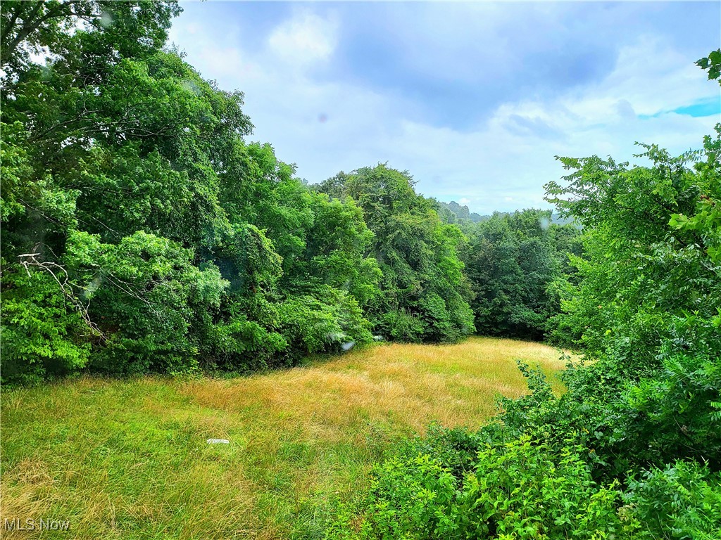 0 Mayle Ridge Road Cutler, OH 45724 - Photo 1 of 13