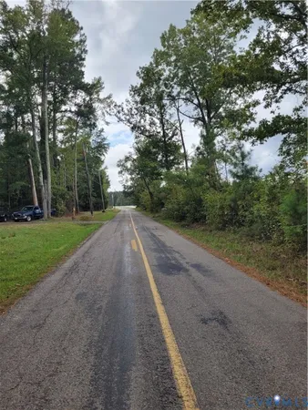 a view of a yard with palm trees