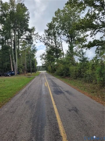 a view of a yard with palm trees