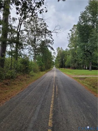 a view of a rural road with plants and trees all around