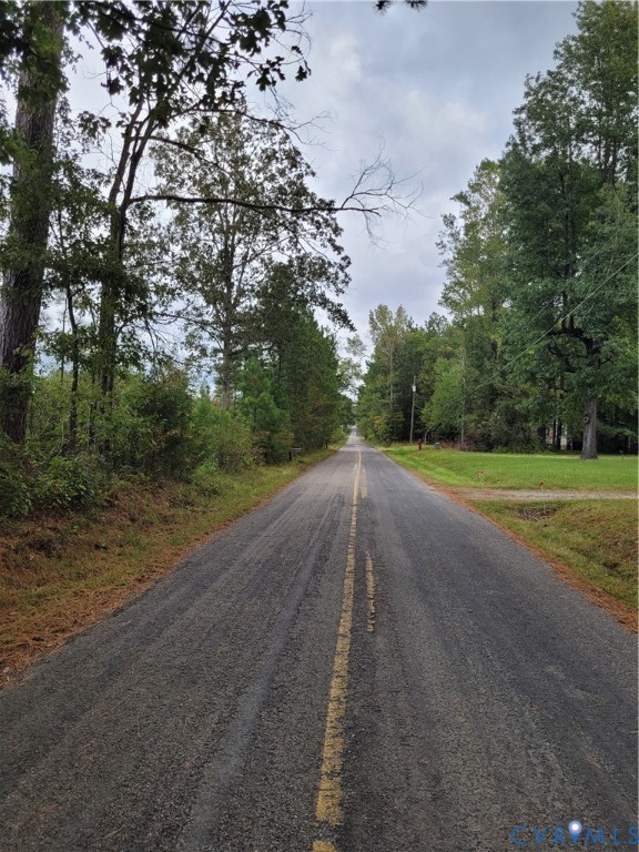 Tbd09 Kimages Road Charles City, VA 23030 - Photo 3 of 6 a view of a rural road with plants and trees all around