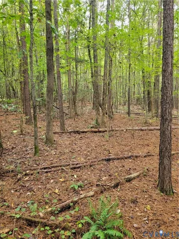 a view of outdoor space with trees