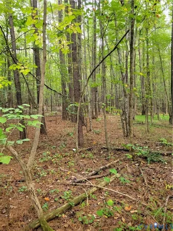 a backyard of a house with lots of green space and chair