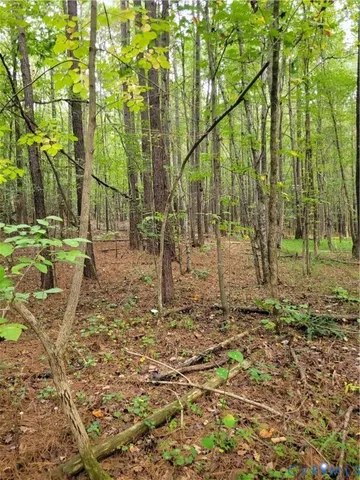 a backyard of a house with lots of green space and chair