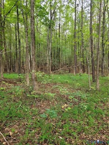 a large yard with lots of green space and trees