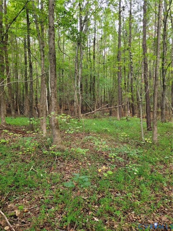 Tbd09 Kimages Road Charles City, VA 23030 - Photo 6 of 6 a large yard with lots of green space and trees