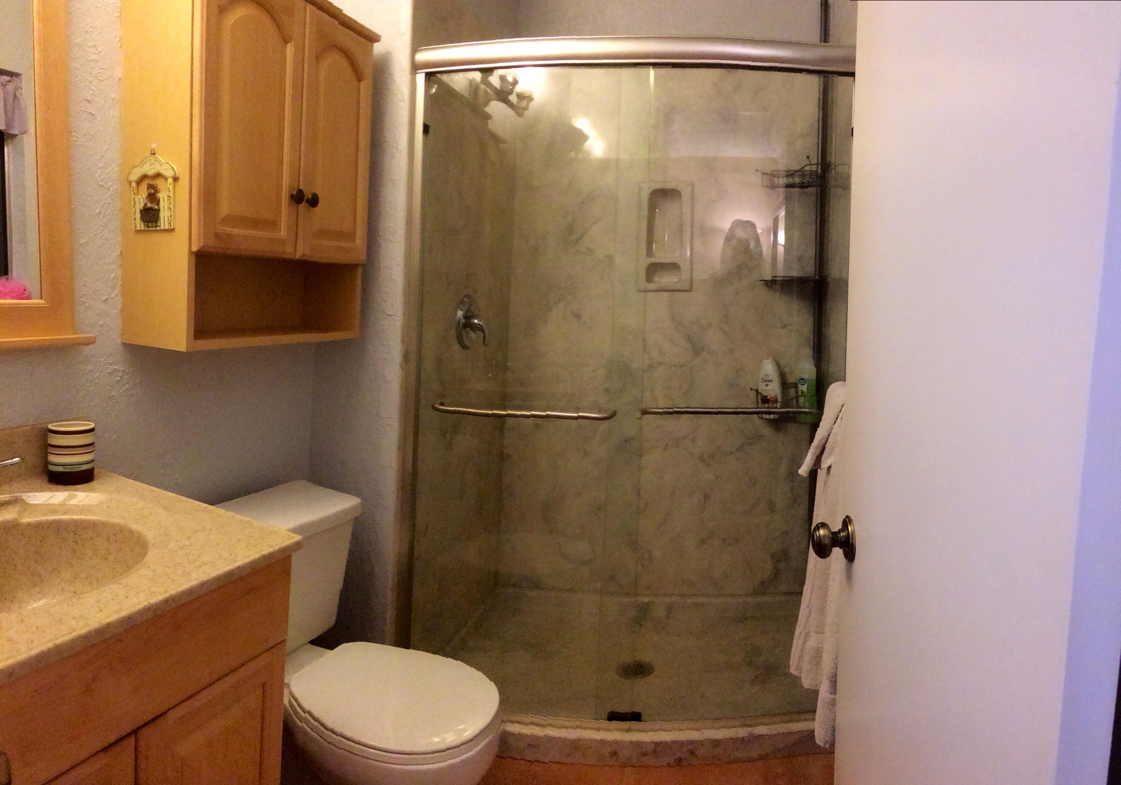 8296 Butterfield Lane Boca Raton, FL 33433 - Photo 14 of 17 Master bath