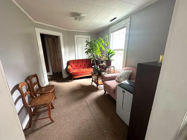a living room with furniture and a potted plant