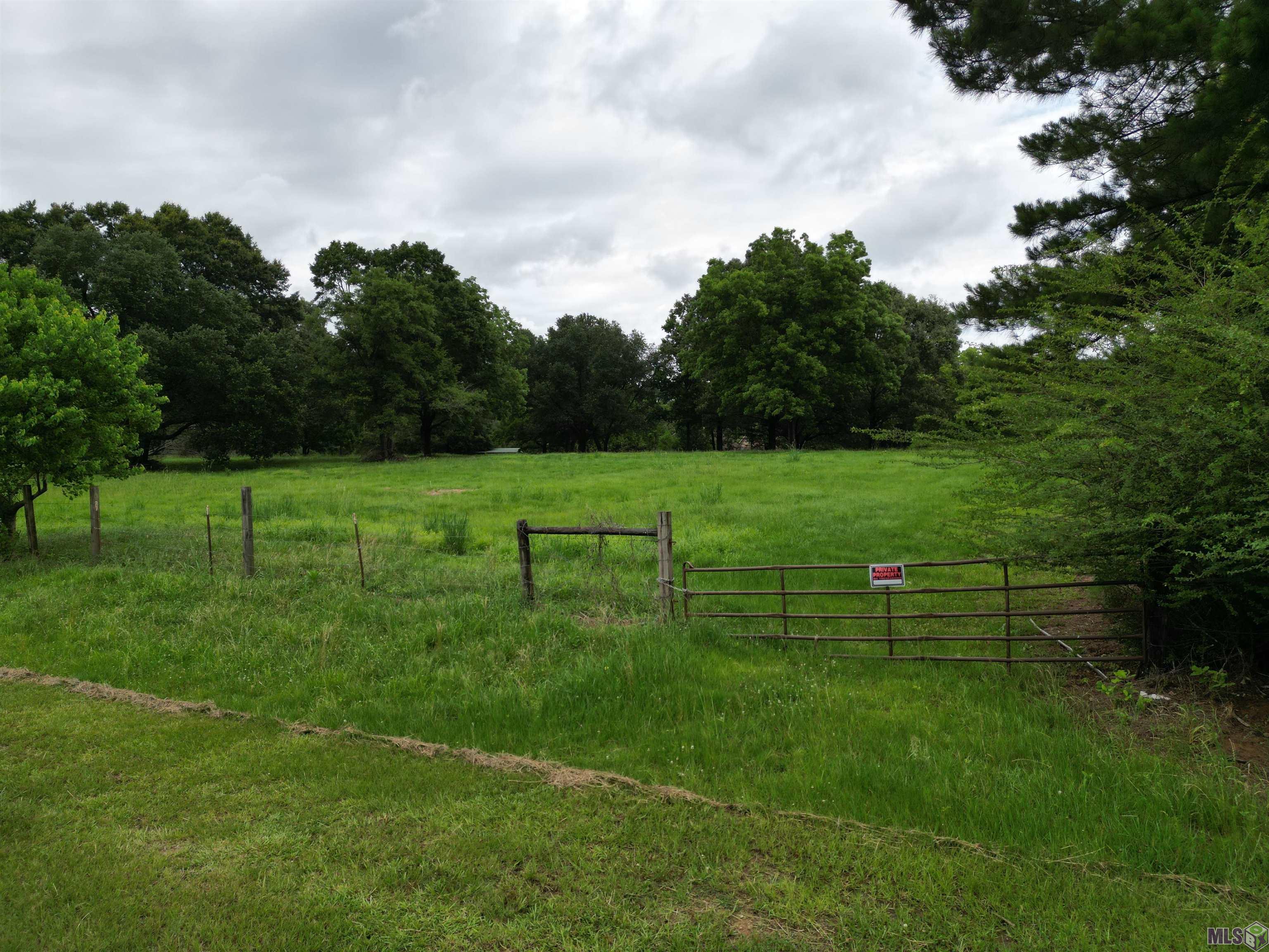 Tbd Megan Road Jackson, LA 70748 - Photo 14 of 17