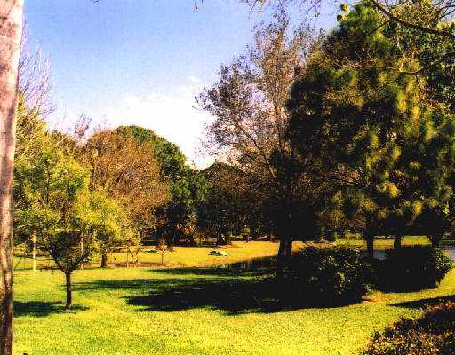 6554 Wood Lake Road Jupiter, FL 33458 - Photo 4 of 8 Additional Photo