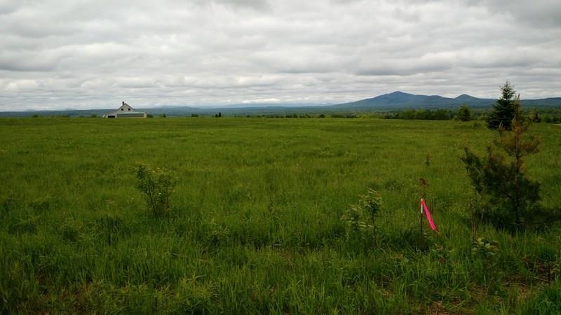 66 Clark Road Merrill, ME 04780 - Photo 15 of 16 Photo