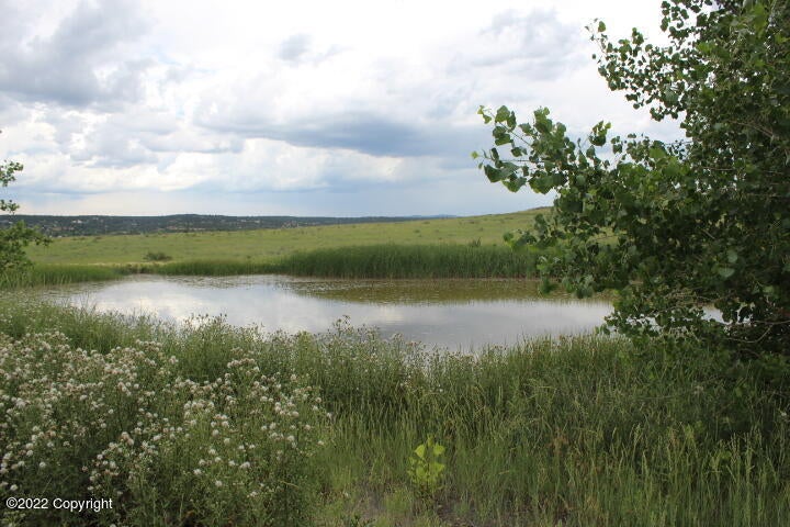 3 Fairgrounds County Road Newcastle, WY 82701 - Photo 4 of 8 Gallery Image 4