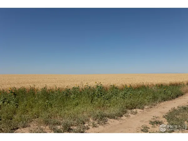 a view of a field with an ocean