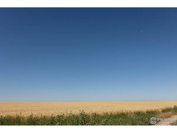 a view of city and mountain