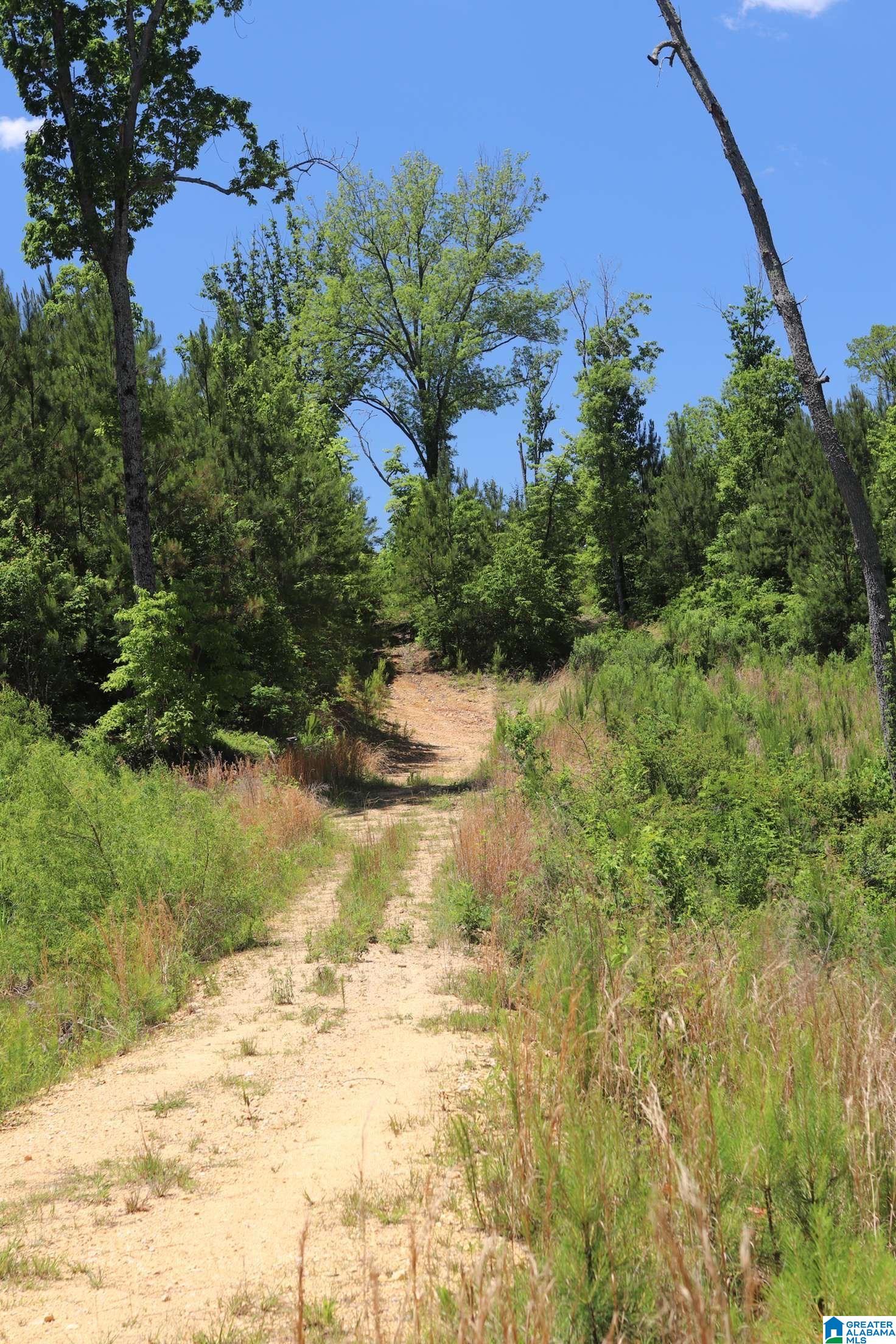 2930 Shocco Springs Road Talladega, AL 35160 - Photo 46 of 93