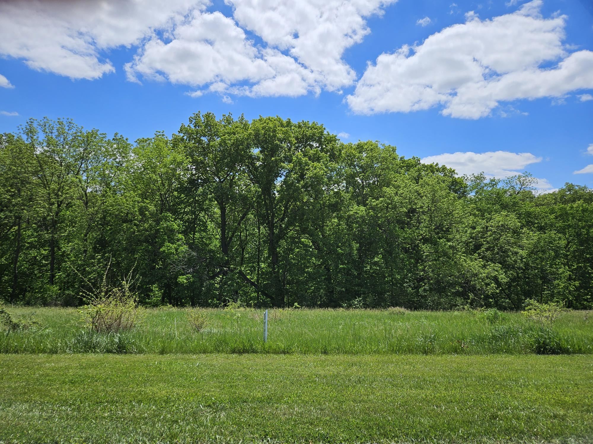 Tbd Tbd Gig Drive Galena, IL 61036 - Photo 1 of 5 a view of a big yard