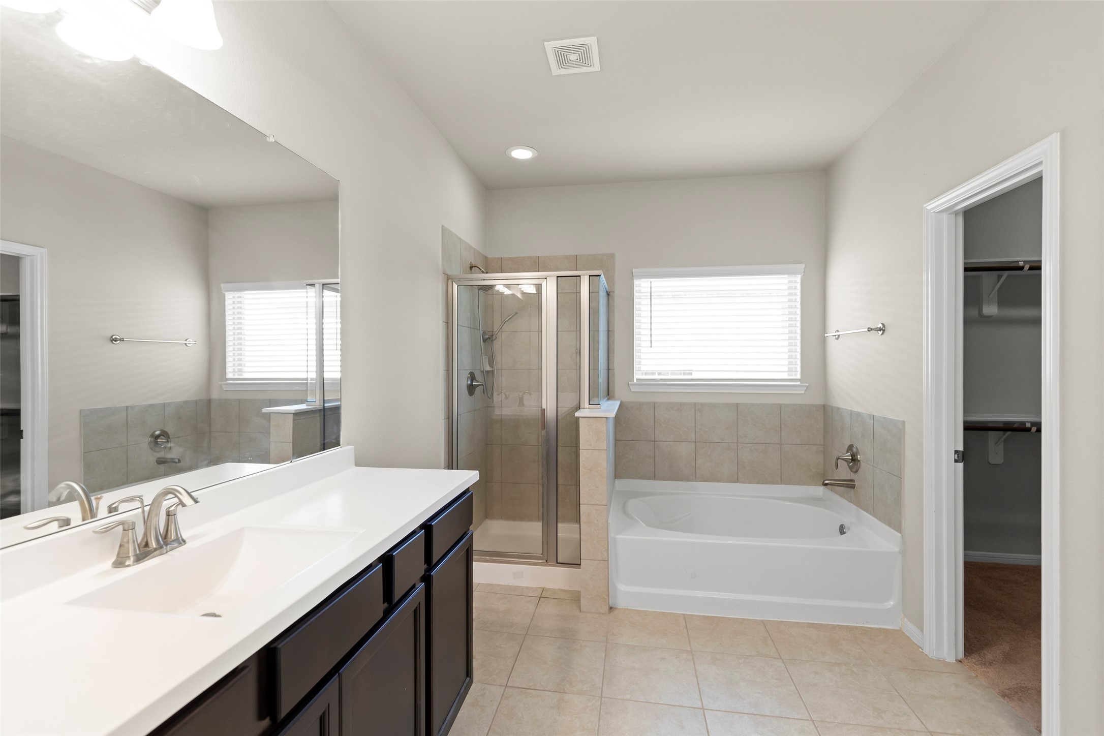 1333 Red Hills Drive Rosharon, TX 77583 - Photo 14 of 29 a spacious bathroom with a bathtub sink and mirror