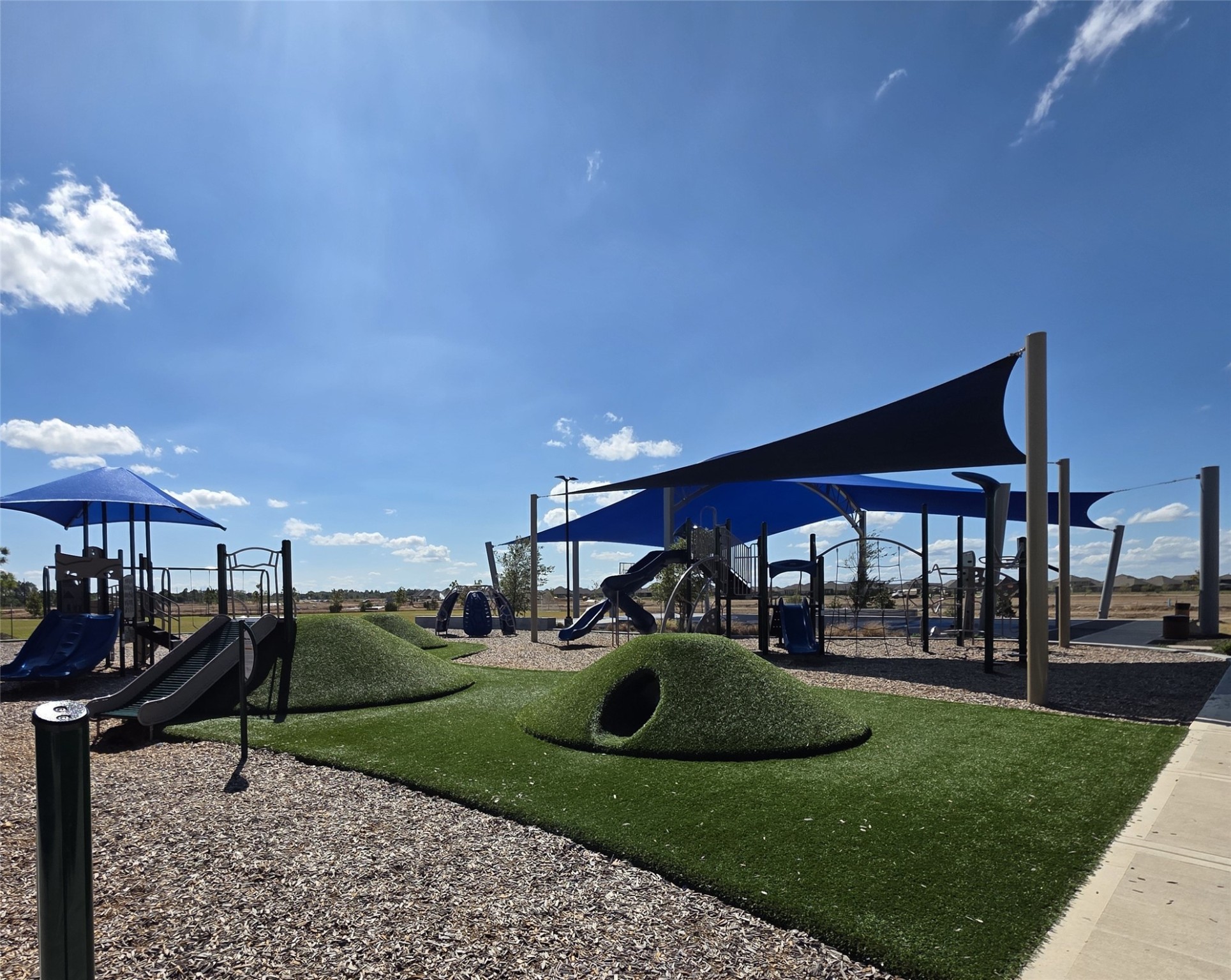 1333 Red Hills Drive Rosharon, TX 77583 - Photo 23 of 29 a view of a house with backyard and patio