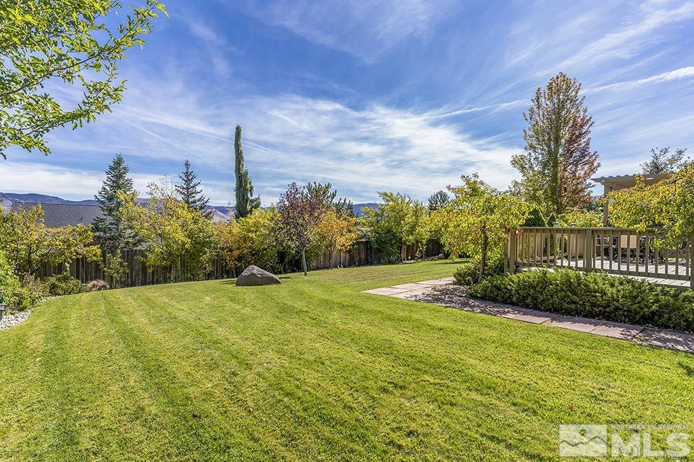 14320 Ghost Rider Drive Reno, NV 89511 - Photo 31 of 40 a view of a backyard with plants and trees