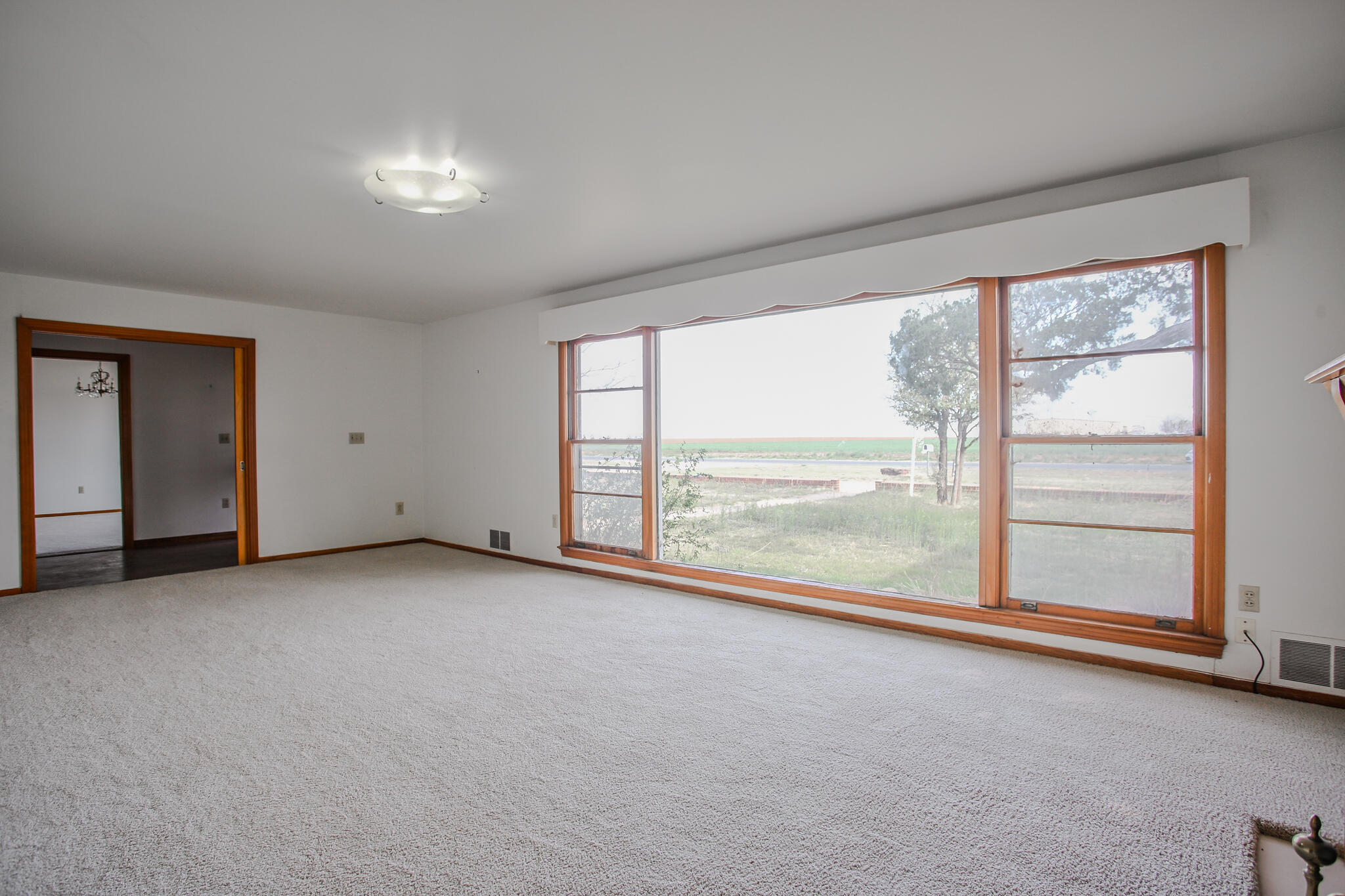 10709 Farm To Market 41 Ropesville, TX 79358 - Photo 3 of 50 Haleydphotography-8