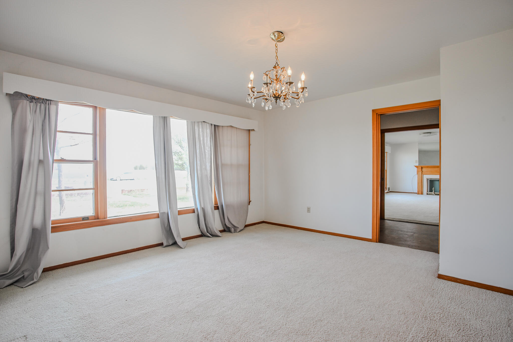 10709 Farm To Market 41 Ropesville, TX 79358 - Photo 40 of 50 Haleydphotography-43