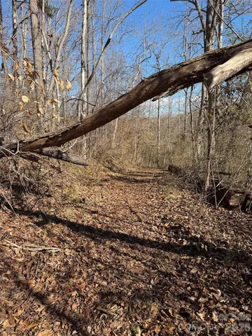 $19,900 | 0 East Rambling Creek Drive, Unit 11, Tryon, NC 28782