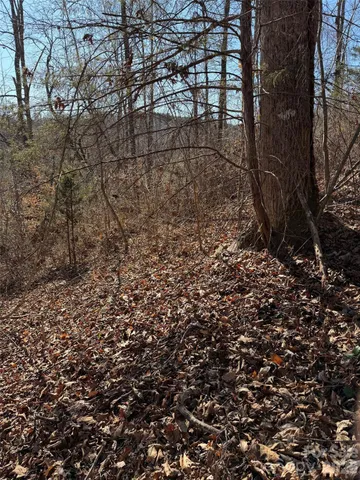 $19,900 | 0 East Rambling Creek Drive, Unit 11, Tryon, NC 28782