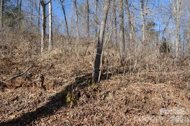 $19,900 | 0 East Rambling Creek Drive, Unit 11, Tryon, NC 28782