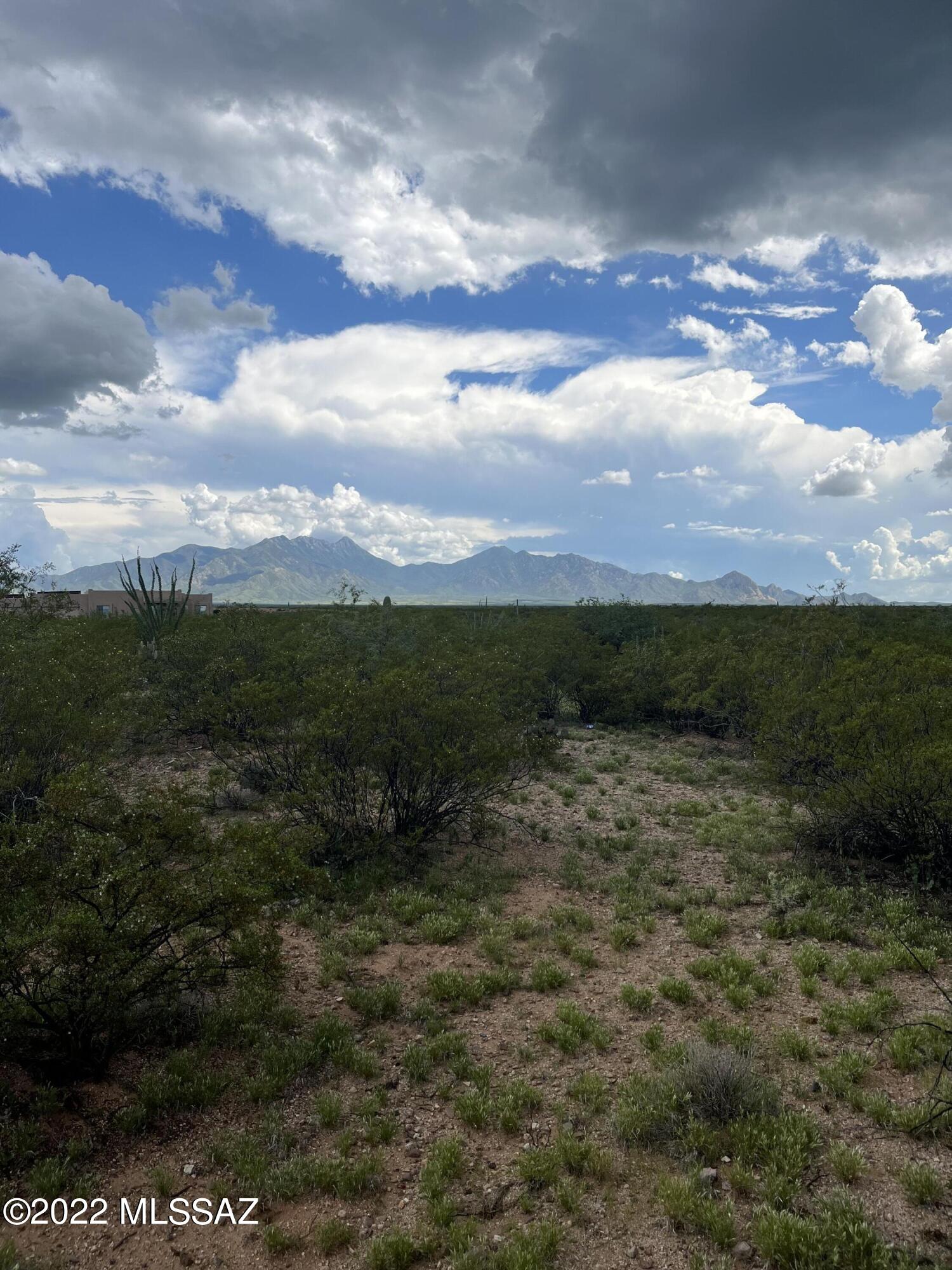 172 North Rustic Ridge Place, Unit 35 Sahuarita, AZ 85629 - Photo 11 of 14