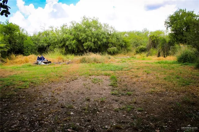 a view of a yard with a tree