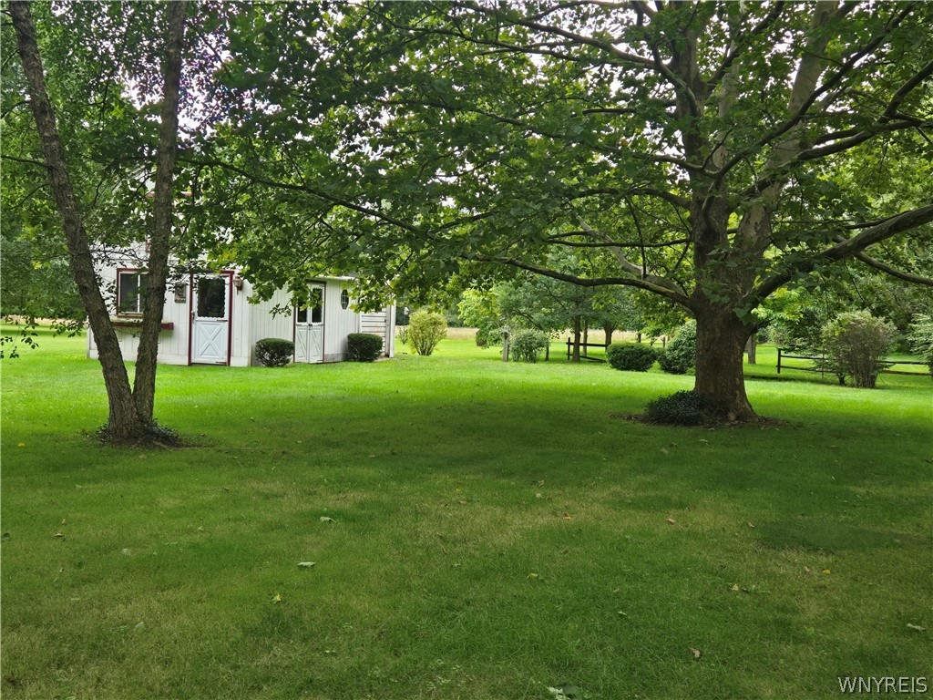 7322 Ridge Road Hartland, NY 14094 - Photo 19 of 34 back yard view